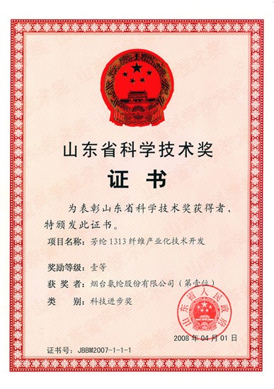 2008年，“芳綸1313纖維産業化技術開發”項目獲山東省科學技術一等獎。