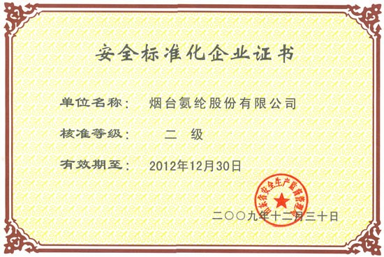 2009年，通過山東省安監局安全标準化二級審核。