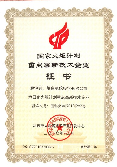 2010年，被評爲“國家火炬計劃重點高新技術企業”。
