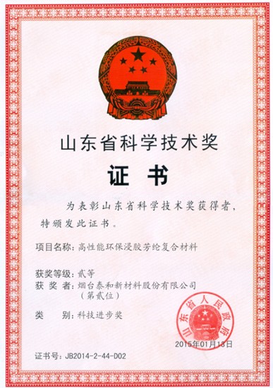 2015年，“高性能環保浸膠芳綸複合材料”榮獲山東省科技進步二等獎。