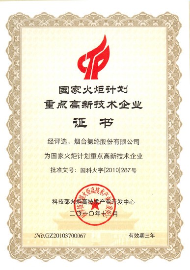 1998年，被國家科委認定爲“國家火炬計劃重點高新技術企業”。