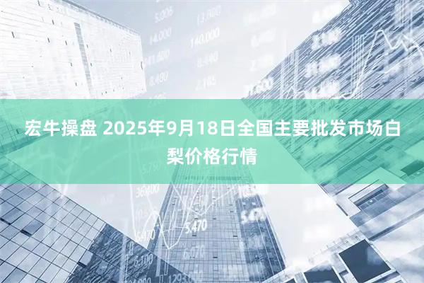 宏牛操盘 2025年9月18日全国主要批发市场白梨价格行情