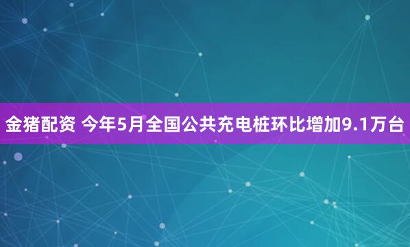 金猪配资 今年5月全国公共充电桩环比增加9.1万台