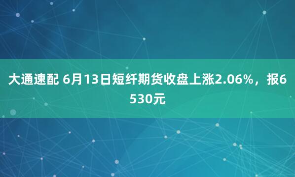 大通速配 6月13日短纤期货收盘上涨2.06%，报6530元