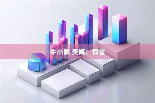 牛小散 美媒：惊雷