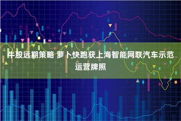 牛股远期策略 萝卜快跑获上海智能网联汽车示范运营牌照